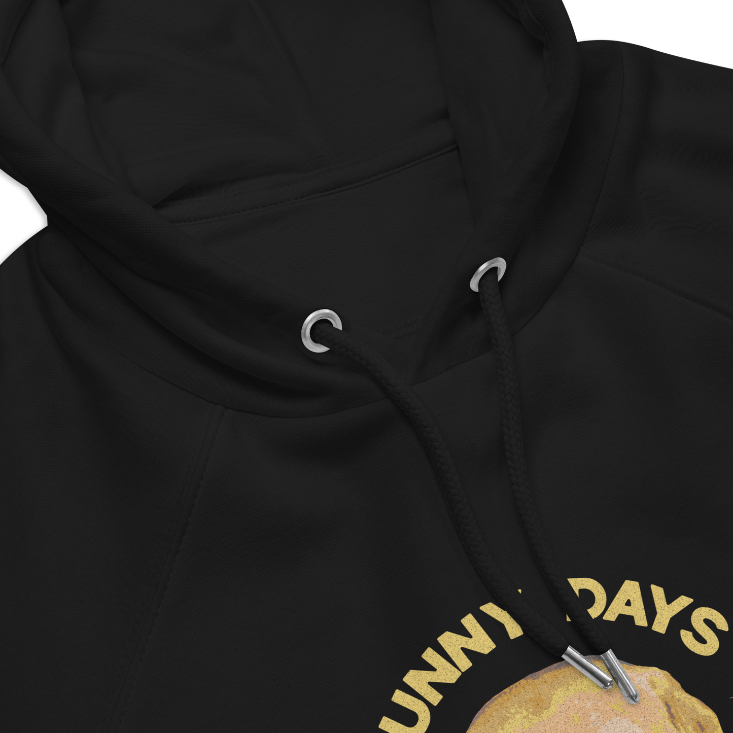 Unisex Eco Raglan Hoodie - Labrador