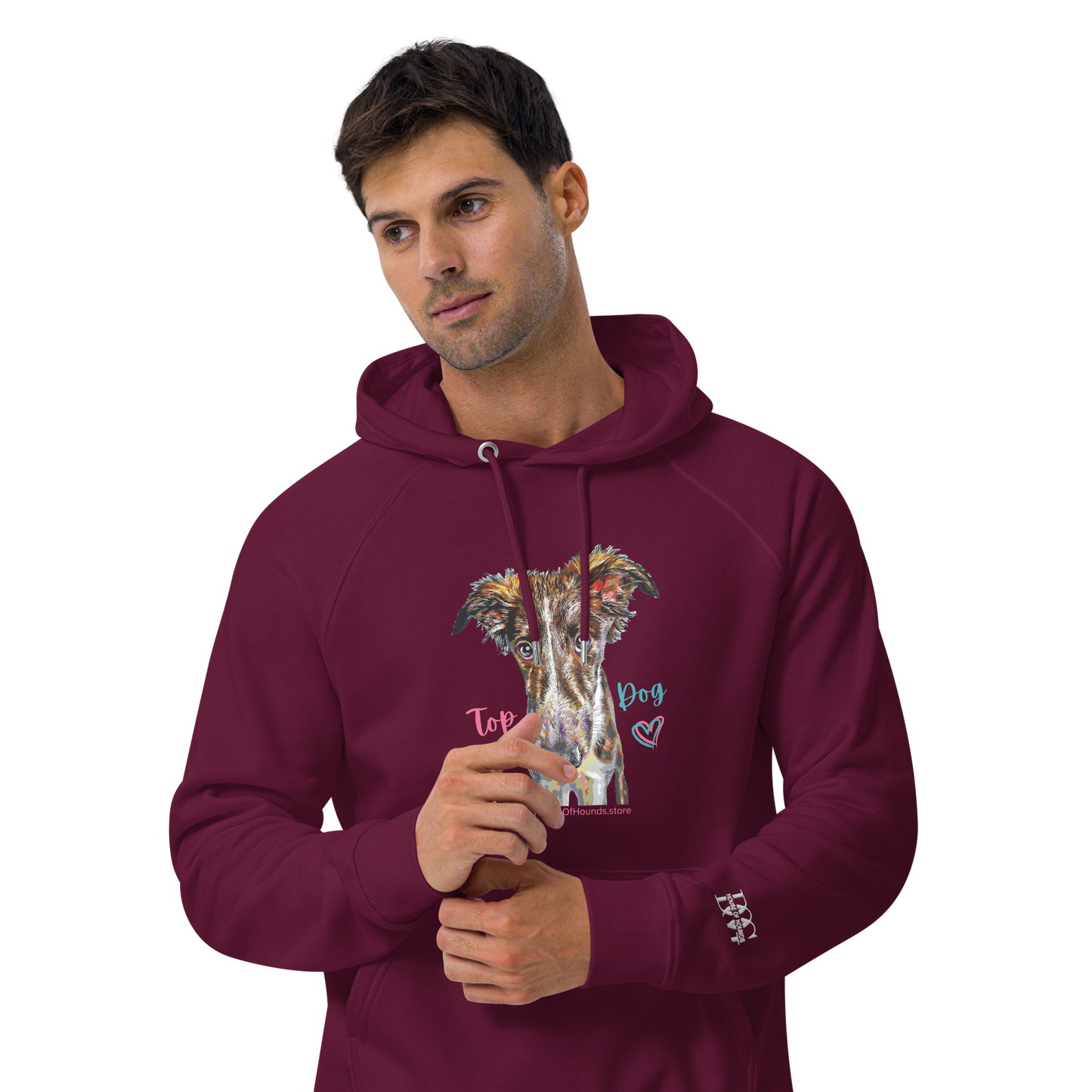 Unisex Eco Raglan Hoodie - Silken Windhound